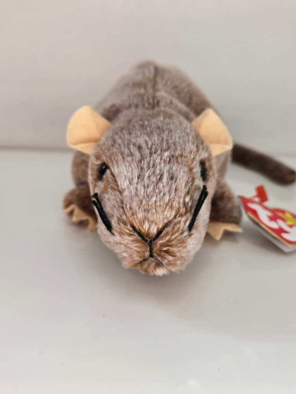 Ty Beanie Baby “Tiptoe” the Rat! (6 inch)